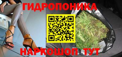 jwh Новозыбков