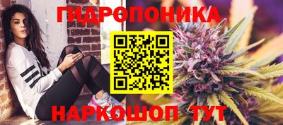 jwh Новозыбков